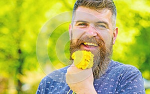 Man with beard and mustache on happy face holds bouquet of dandelions. Romantic hipster made bouquet, green nature