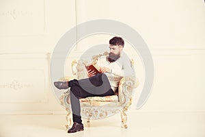 Man with beard and mustache sits on armchair and reading, white wall background. Connoisseur of literature concept