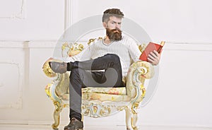 Man with beard and mustache sits on armchair and reading, white wall background. Connoisseur of literature concept