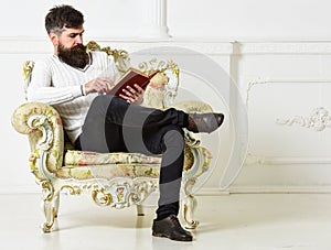 Man with beard and mustache sits on armchair and reading, white wall background. Connoisseur of literature concept