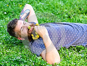 Man with beard on smiling face enjoy spring. Bearded man with dandelion flowers in beard lay on meadow, grass background