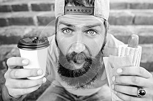 Man bearded enjoy quick lunch stairs background. Hipster eat hot dog. Hipster enjoy hot dog drink paper cup. Fast food