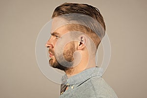 Man with bearded face in profile. Macho with beard and mustache. Guy with stylish hair and unshaven skin. Beard grooming