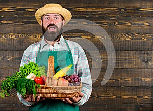 Man bearded farmer presenting eco vegetables wooden background. Fresh organic vegetables in wicker basket. Farmer straw