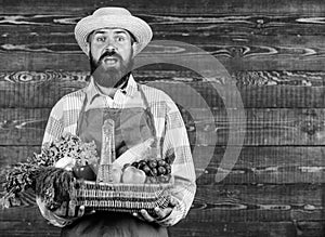 Man bearded farmer presenting eco vegetables wooden background. Fresh organic vegetables in wicker basket. Farmer straw