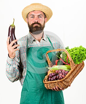Man bearded presenting vegetables white background isolated. Hipster gardener wear apron carry vegetables. Farmer straw