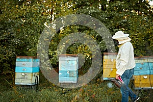 Man beekeeper working in apiary, using bee smoker