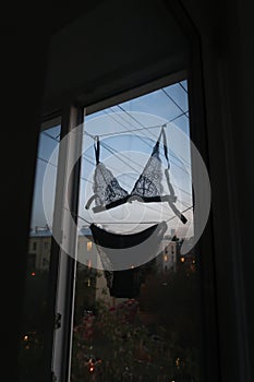 Underwear in the window photo