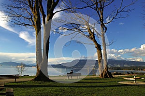 Man on bench