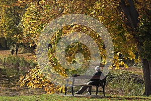 Man on bench in autumn in Denmark