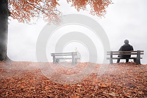 Man on bench shrouded by mist in autumn decor