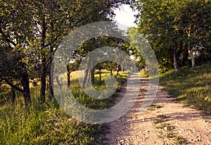 Man on bicycle on pathway