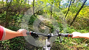 A man on a bicycle rides in forest in the autumn in sunny weather.