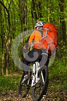 Man bikes in the green forest