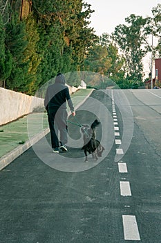 Man with black hood walks his dogs on the road photo