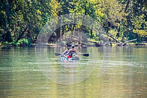 Man and blue heeler dog floating-paddling river together on paddleboard with bokeh forest in background - tranquil scene