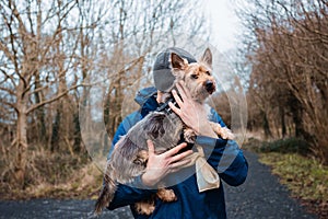 Man in blue jacket and grey hat and medical mask hugging yorkshire terrier in a park. Expression of care and sentiment to your