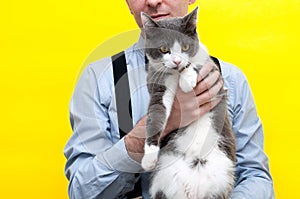 Man in blue shirt and black suspender and bow tie holding cute grey and white cat with outstretched paws