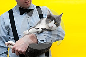 Man in blue shirt and black suspender and bow tie holding grey and white cute cat