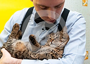 Man in blue shirt and black suspender holding and petting cute brown striped tabby cat on back on yellow