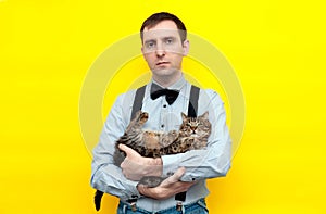 Man in blue shirt, suspender and bow tie holding brown tabby cute cat on back and looking at camera on yellow