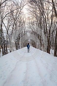 Man in blue walking alone on snow trail under tall tree canopy in winter