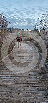 Man on Boardwalk on Frosty Morning in Virginia