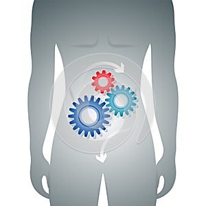 Man body with good digestion in the stomach represented by a cog mechanism