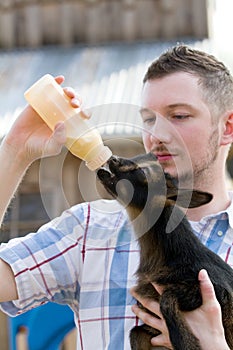 Man Bottle Feeds Goat photo