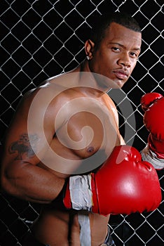 Man Boxing.