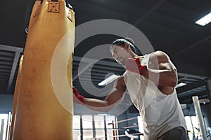 Man On Boxing Workout. Portrait Of Sportsman Training With Punching Bag. Sexy Muscular Guy Fighting At Gym.