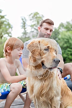 Man and boy stroking Golden retriever on pier during summer weekend