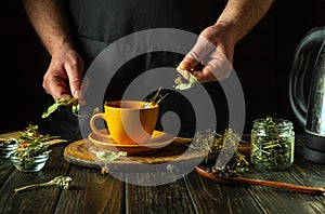 A man brews tea from medicinal dry herbs. A hand holds dry medicinal linden to add to a cup. Traditional medicine concept.