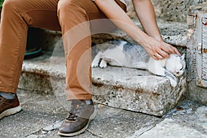 A man in brown trousers sits on the stone steps in the old town and strokes a lying gray cat, close-up