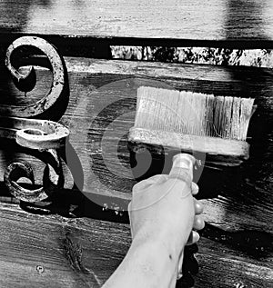 Man with brush in hand lacquer Board old vintage wooden bench repairs at home black and white retro