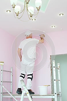 Man with brush in hand standing on scaffolding in photo