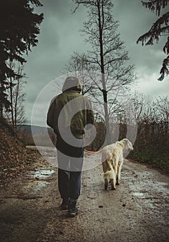 Man in bumber jacket with hood on the head walking with his dog irish wolfhound on the path through forest with dramatic blue