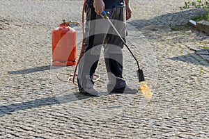 Man burn weeds with torch, thermal weeds control. Environmental protection