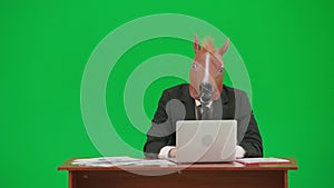 Man in business suit with horse head mask on studio green background. Businessman sitting at desk looking through
