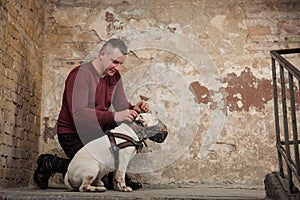 Man button up a dog collar against the background of a peeling wall. Portrait of man and white bull terrier. Dog trainer