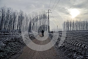man in bycicle in a country road in winter