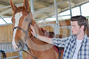 Man calming horse with stroke photo