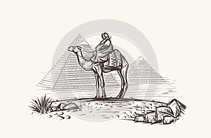 Man on Camel in desert near Pyramids illustration. Vector.