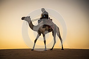 Man with a camel in a desert in Sudan
