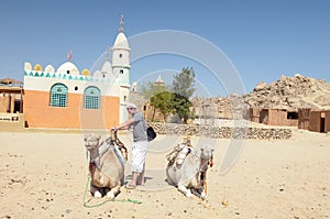 Man with camels in desert