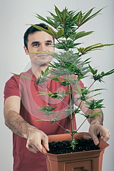 Man with Cannabis plant