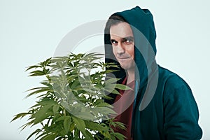 Man with cannabis plant