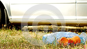 A man from a car throws out a bag of garbage on the grass, nature, close-up, pollution by nature`s garbage, garbage and