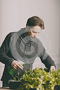 Man is carefully irrigating plants