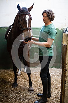 Man caressing the brown horse in the stable